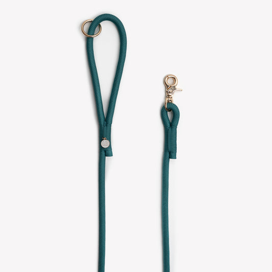 Blue braided rope leash, second view