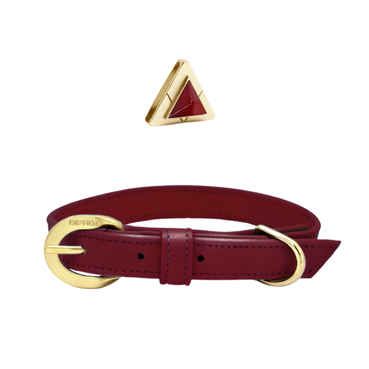 Bordeaux carnelian collar and charm set in gold