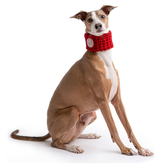 The GF PET® Chalet Tube Scarf - Red