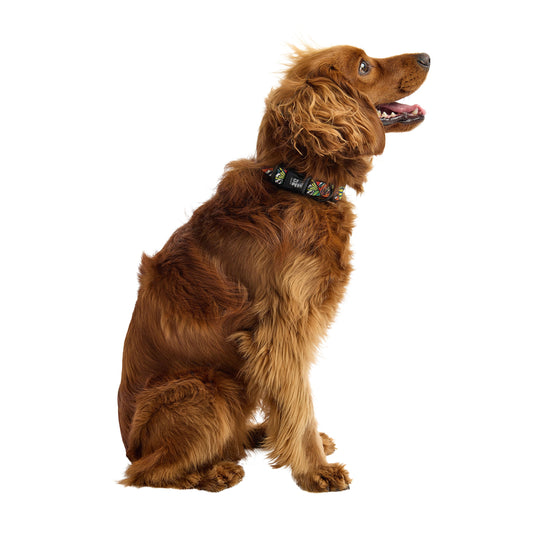 The GF PET® Printed Collar - Comic Book