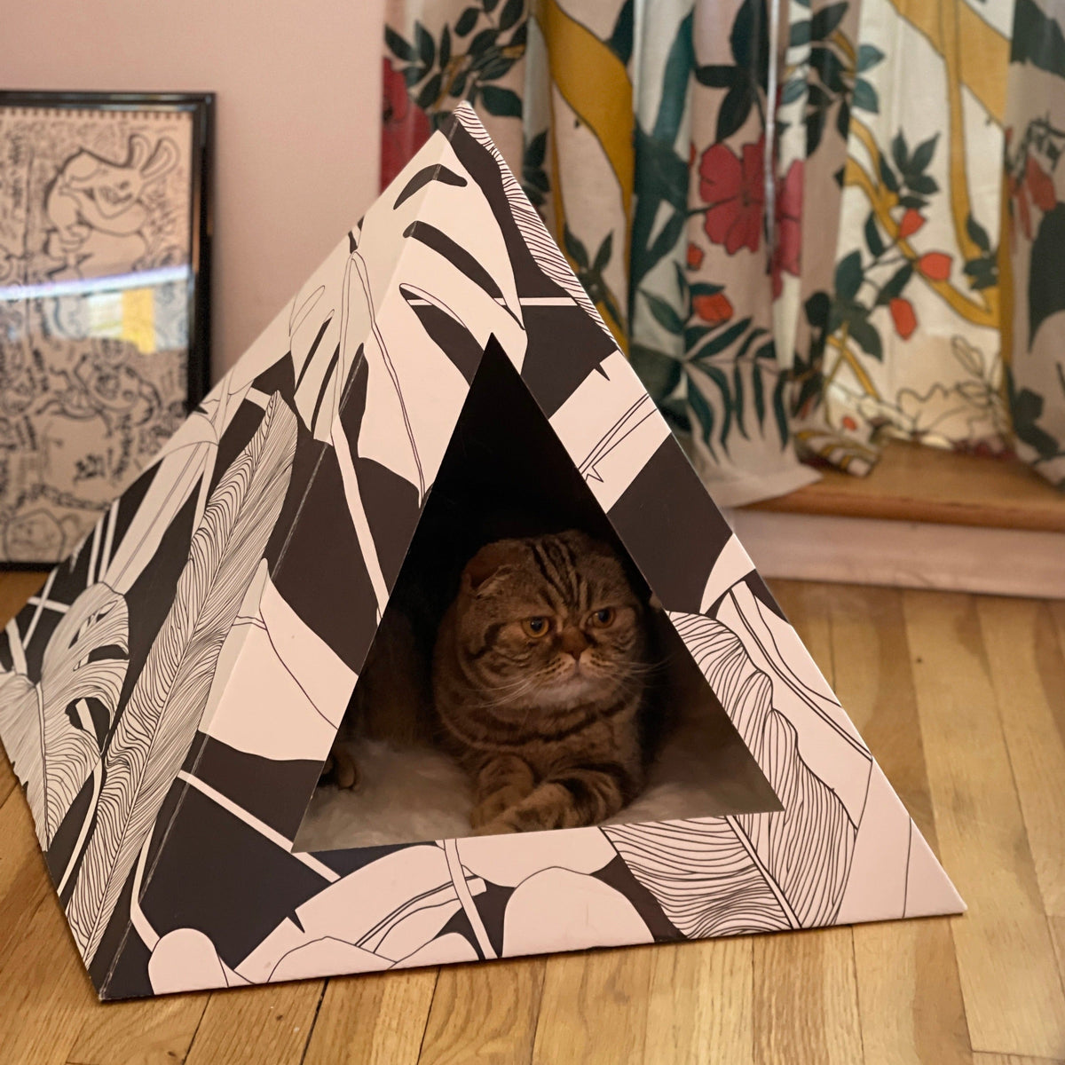 Dark Paradise cardboard cat pyramid, second view