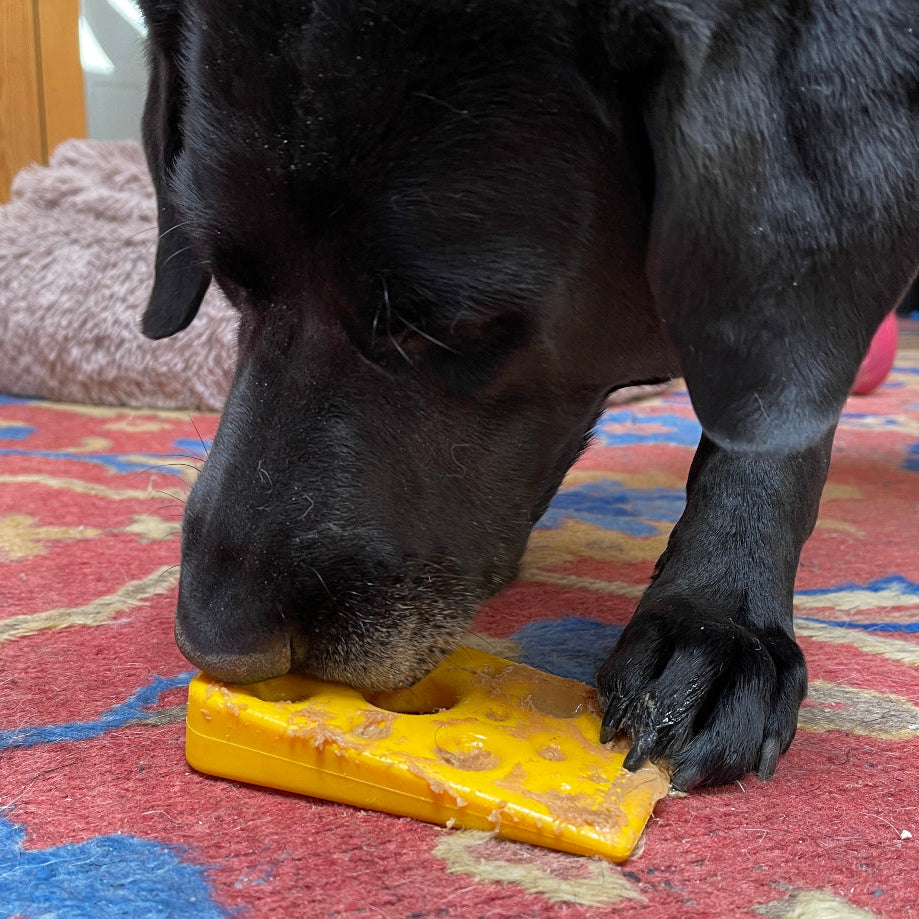 Yellow Swiss Cheese Wedge chew toy