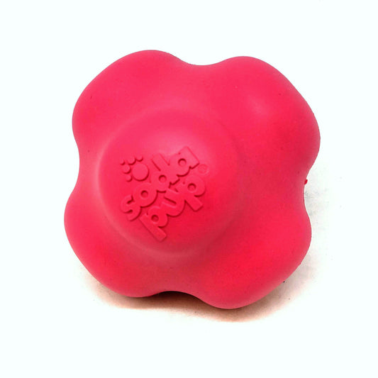 Orange Crazy Bounce rubber dog toy