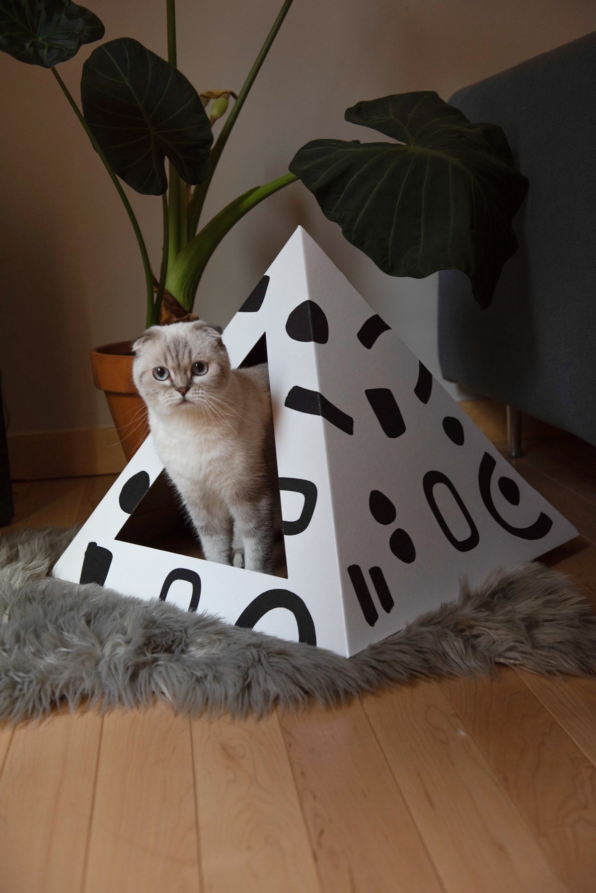 Doodle cardboard cat pyramid, lifestyle view