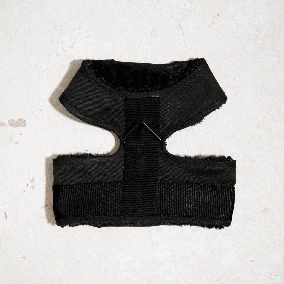 City dog harness fur in Noir No.1