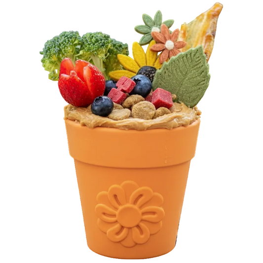 Flower Pot treat dispenser dog toy in assorted colors