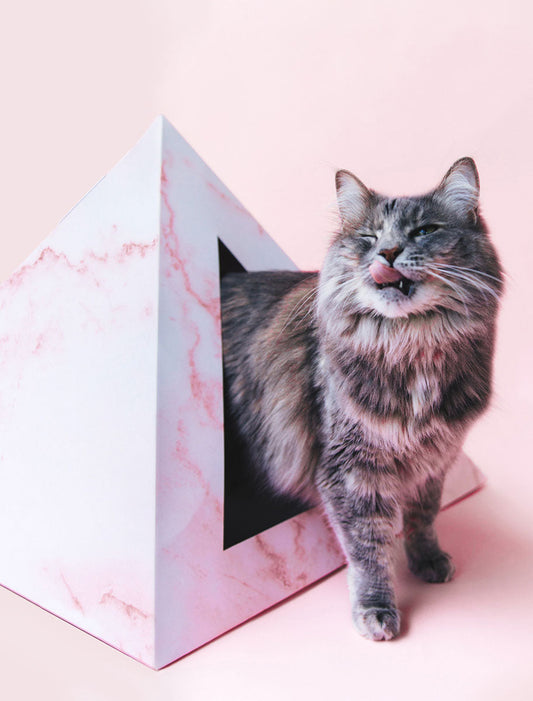 Rose Quartz cardboard cat pyramid, pink print