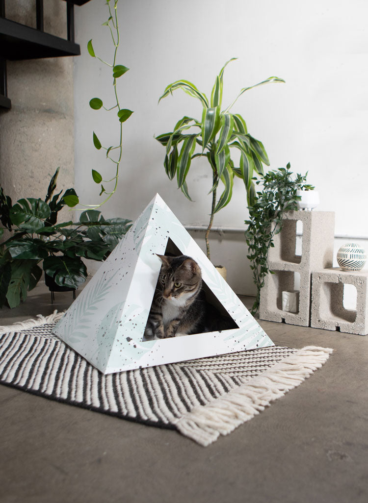 Oasis cardboard cat pyramid, tropical print