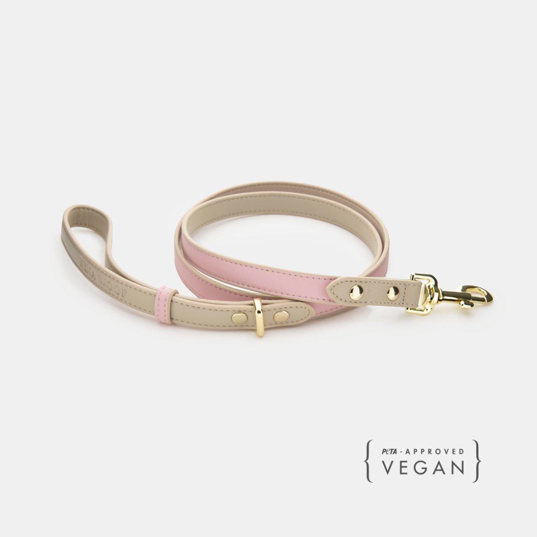 Cupertino 4 ft Vegan Leather Dog Leash in light pink