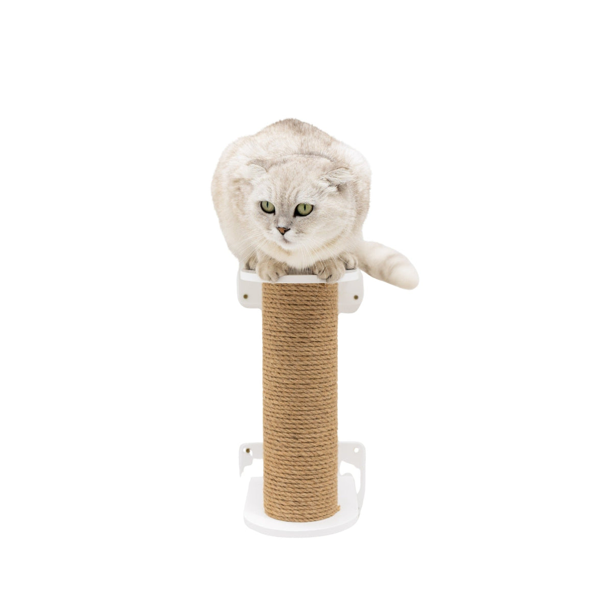 Small Cat Tree in white finish