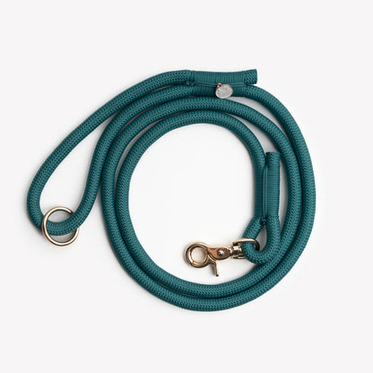 Blue braided rope dog leash