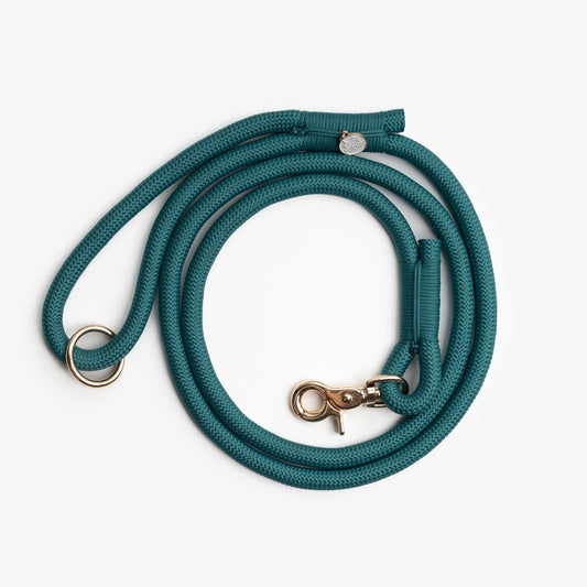 Blue braided rope dog leash