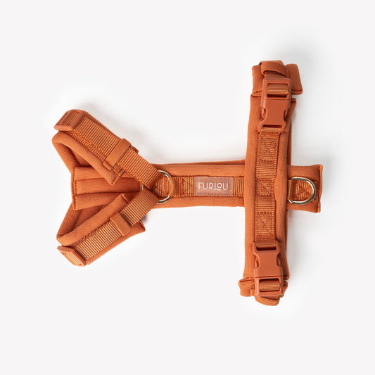 Terracotta comfort dog harness, second view