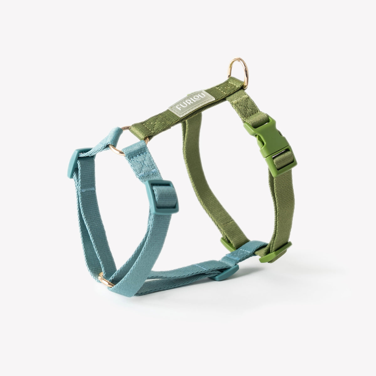 Blue and green dog harness