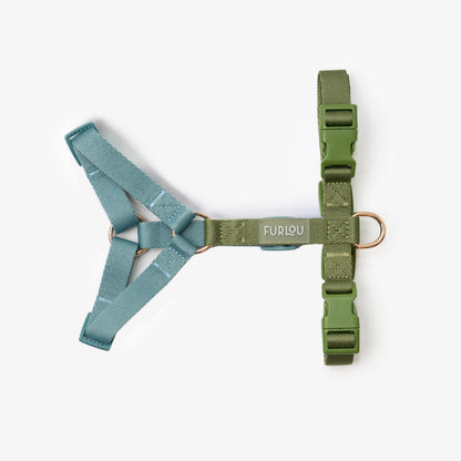 Blue and green dog harness, second view