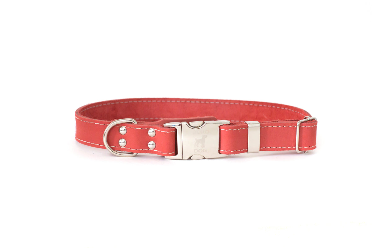 Coral reef quick-release leather collar and leash