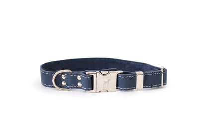 Blue jeans quick-release leather collar and leash