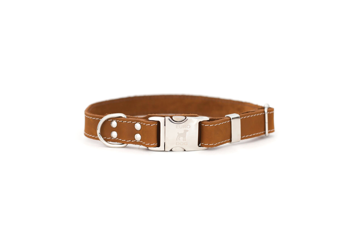 Earth brown quick-release leather collar and leash