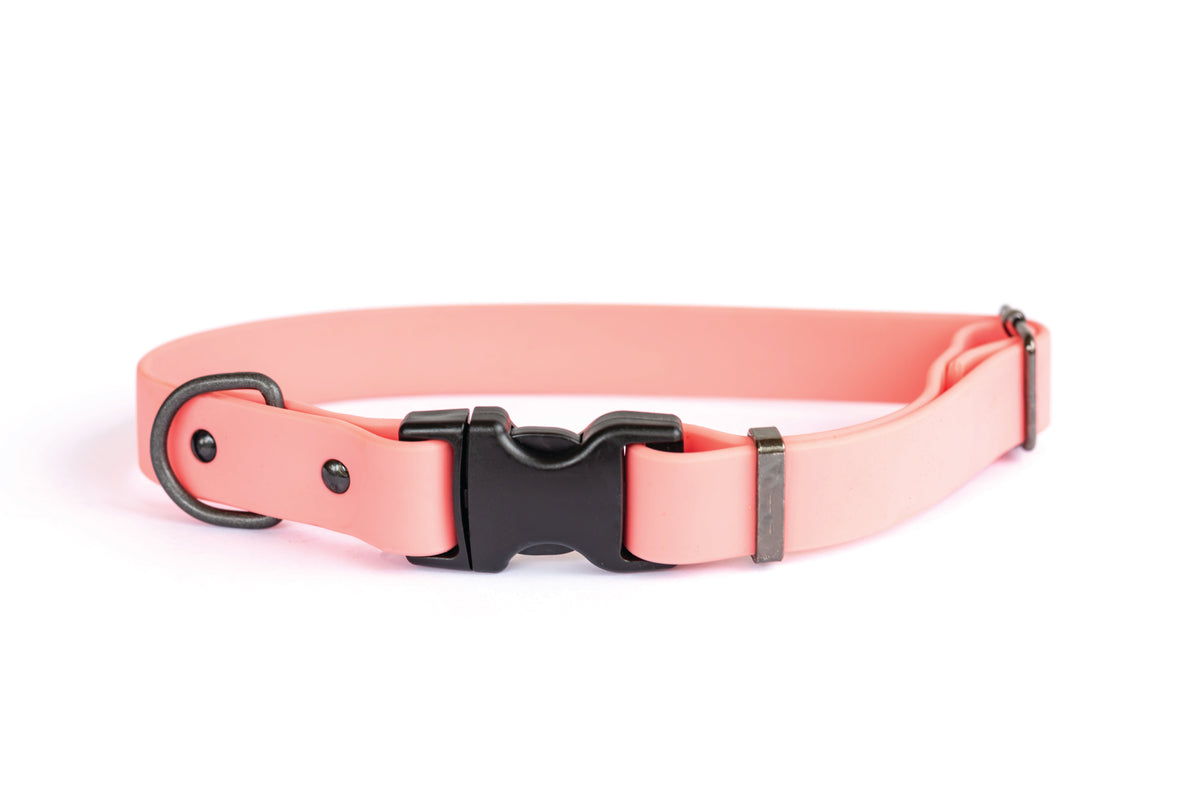 Coral Reef waterproof PVC dog collar