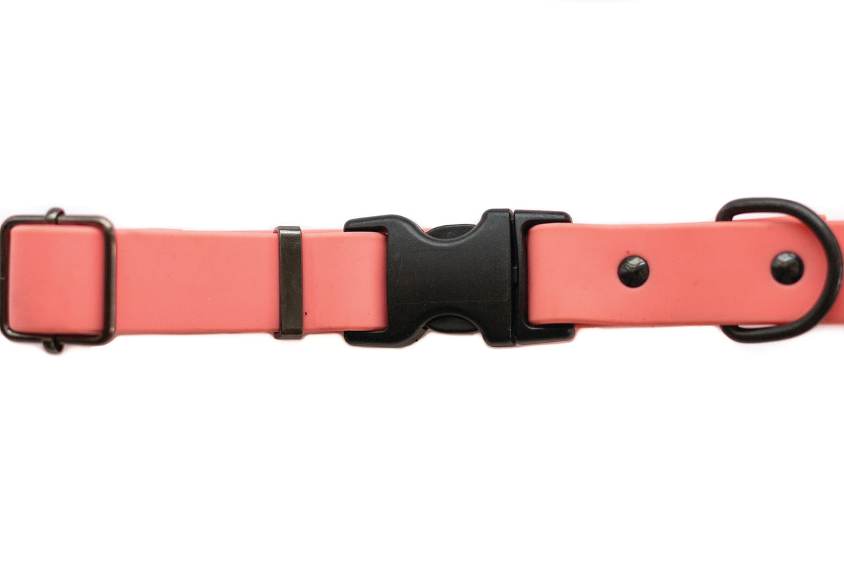Coral Reef PVC dog collar, second view