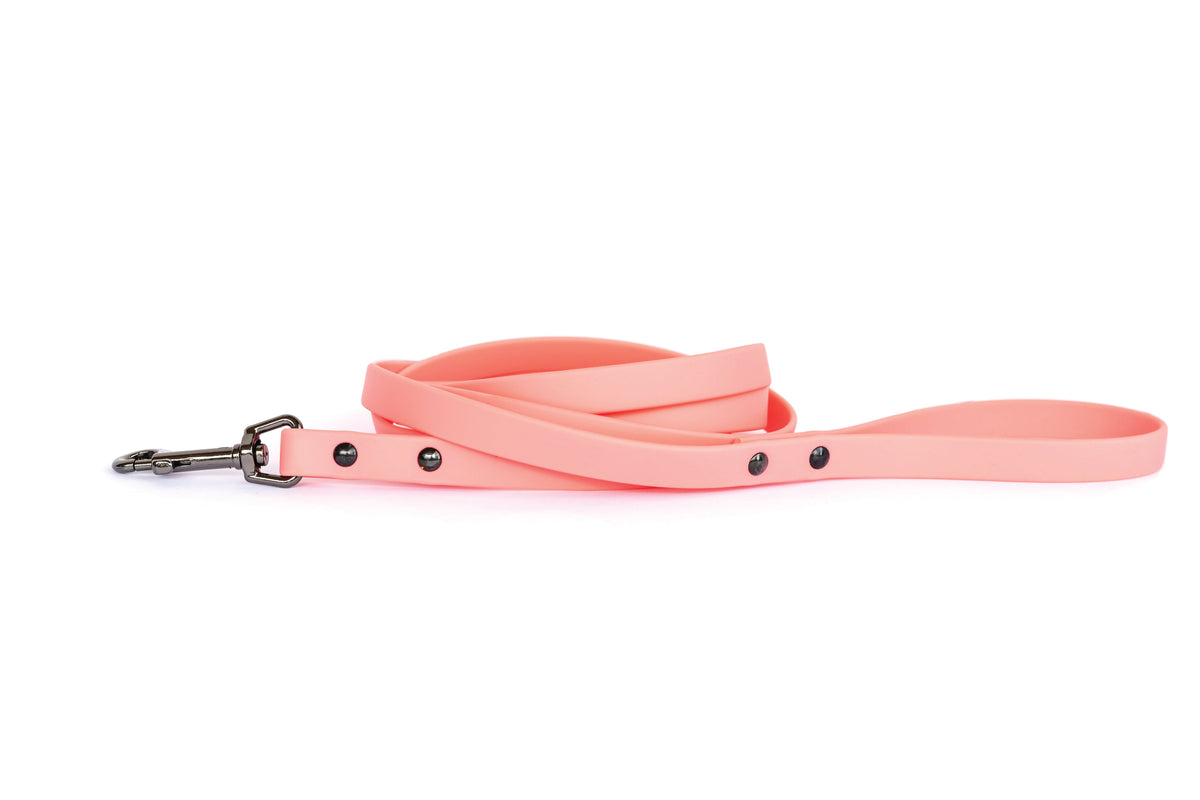 Coral reef waterproof dog leash