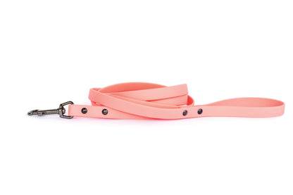 Coral reef waterproof dog leash