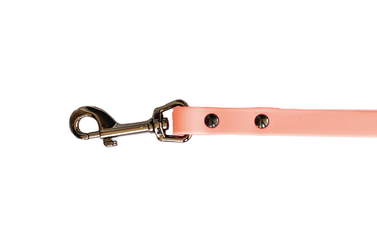 Coral reef waterproof dog leash, second view