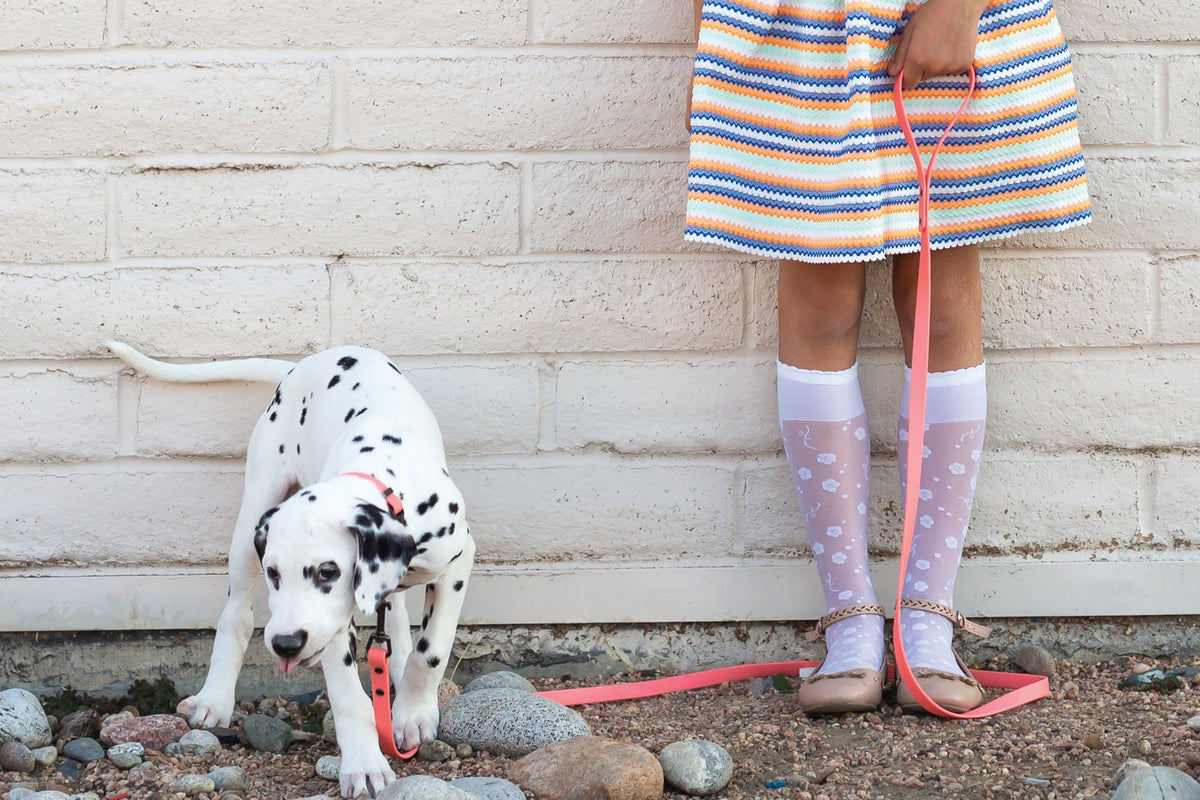 Coral reef waterproof dog leash, third view