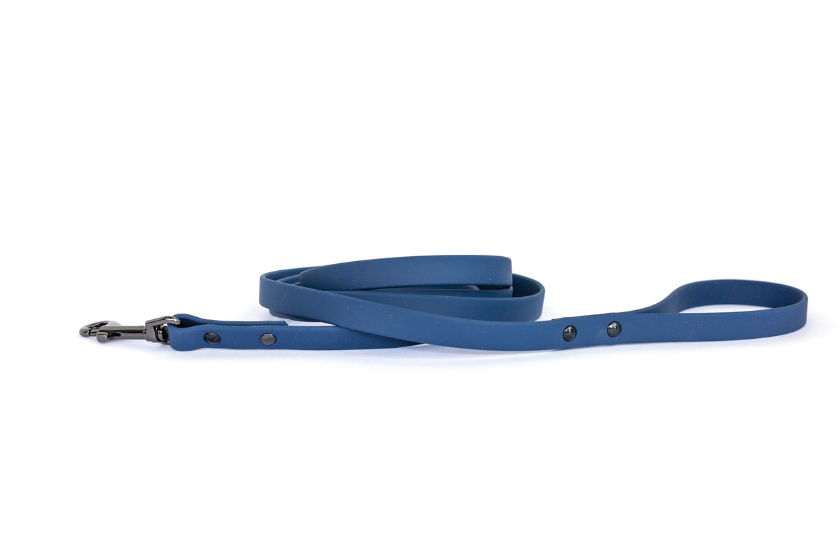 Blue jeans waterproof dog leash
