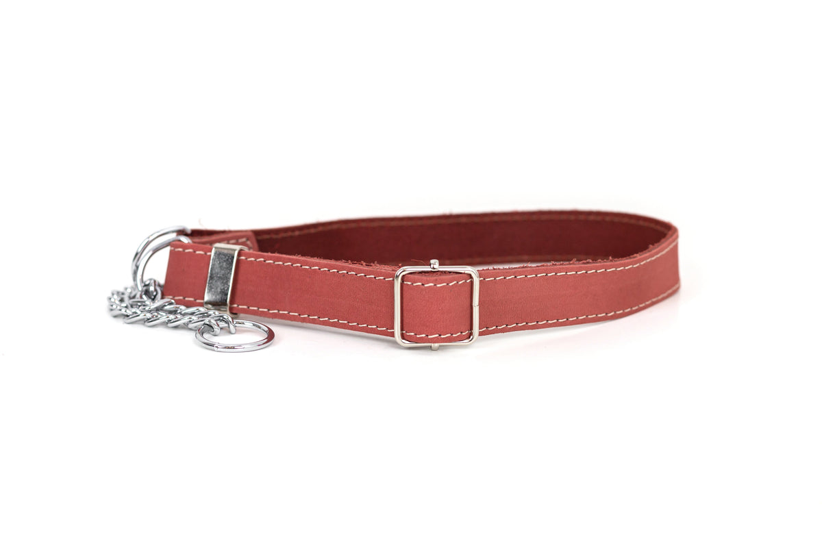 Coral reef martingale leather dog collar