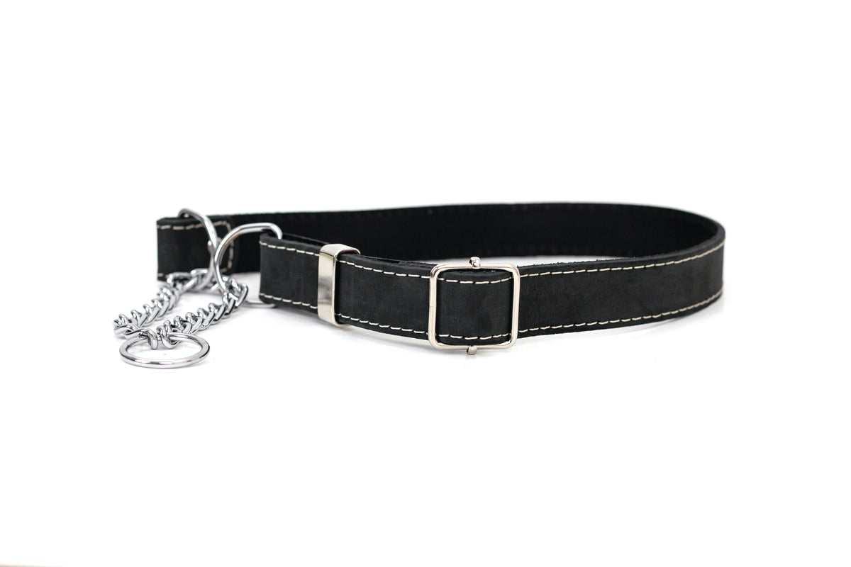 Midnight black martingale leather dog collar