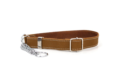 Earth brown martingale leather dog collar
