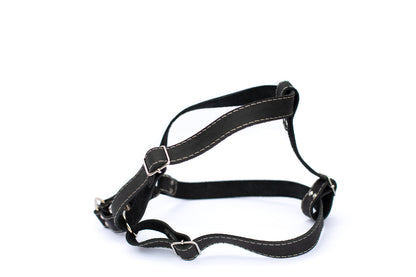 Black leather step in dog harness