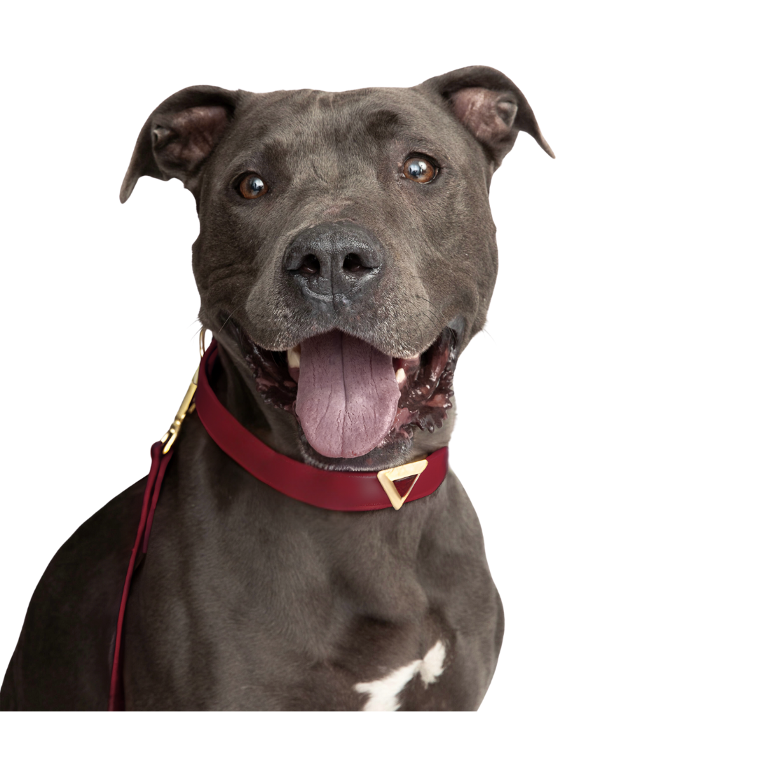 Bordeaux red collar with carnelian triangle charms