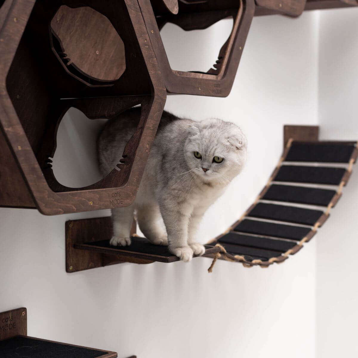 Cat Wood Bridge dark walnut finish detail
