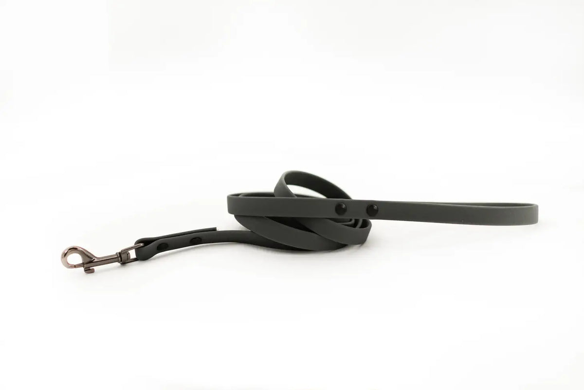 Charcoal waterproof dog leash