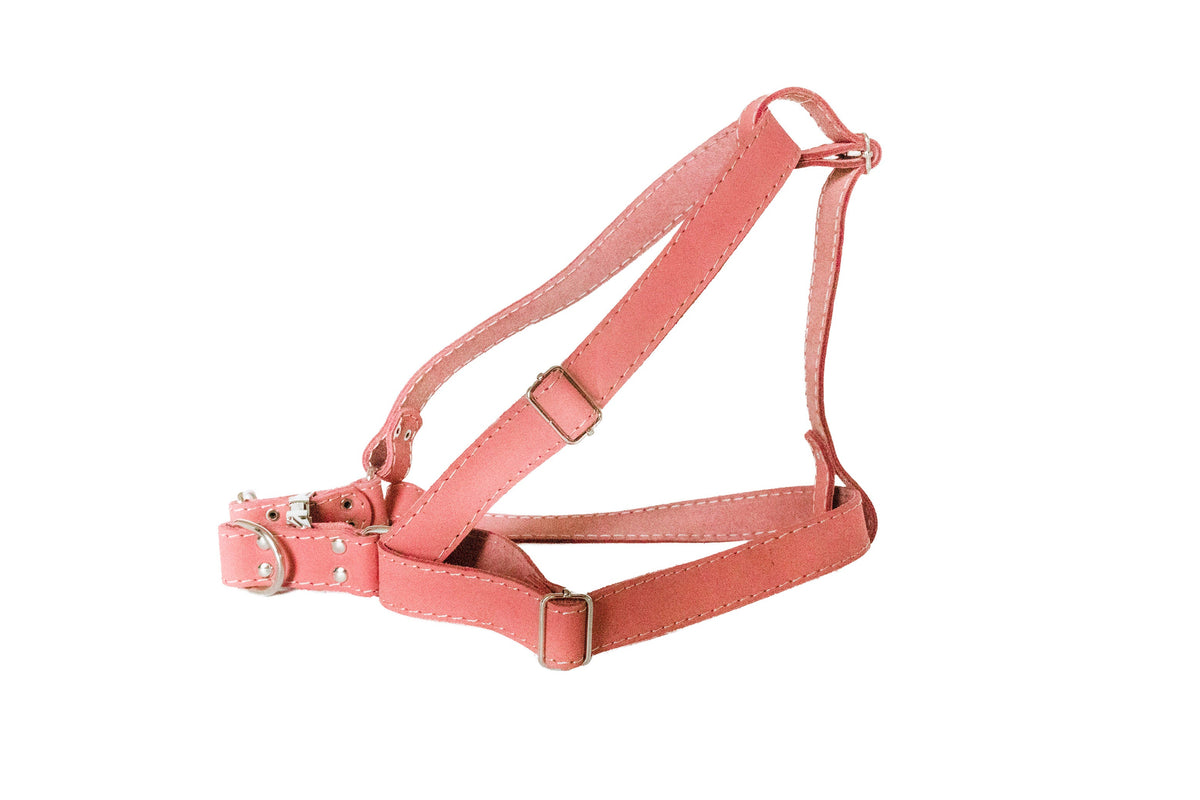 Coral leather step in dog harness