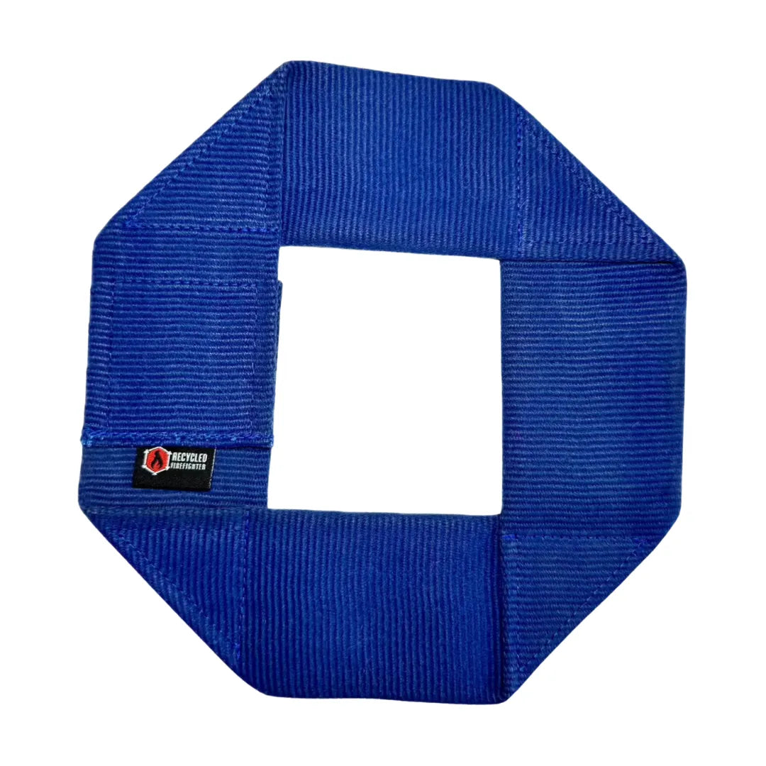 Fire hose dog frisbee in blue