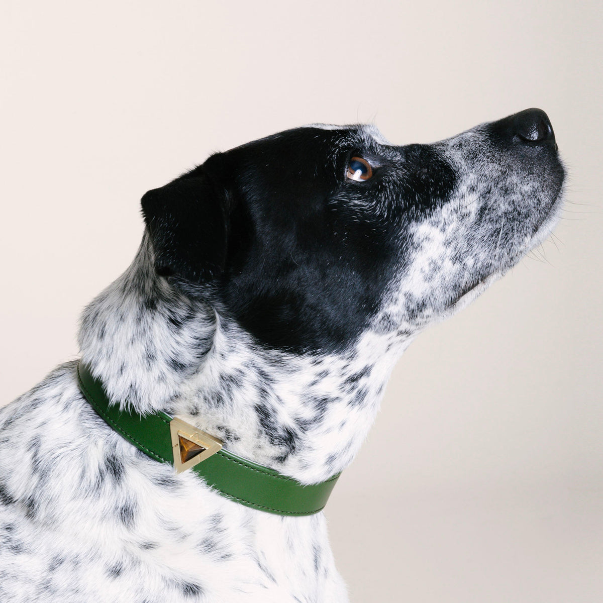 Close-up of olive green cactus leather collar