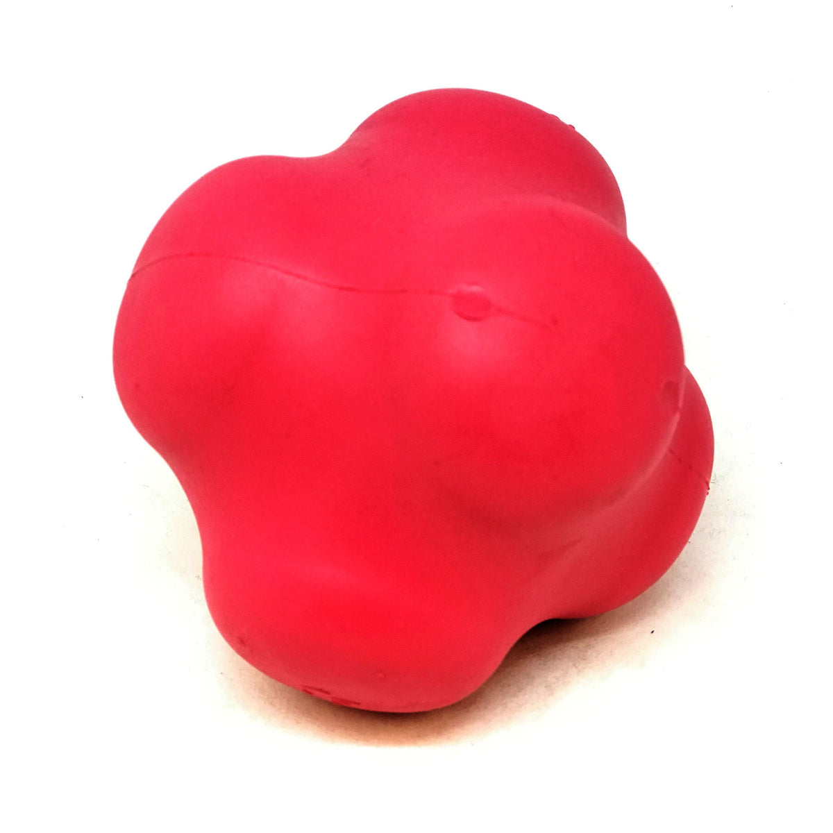 Orange Crazy Bounce rubber dog toy