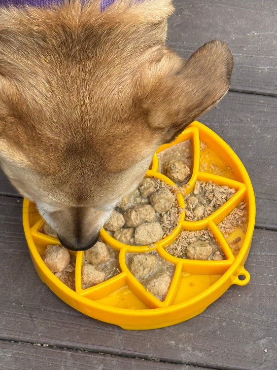 Yellow Sunflower eTray slow feeder