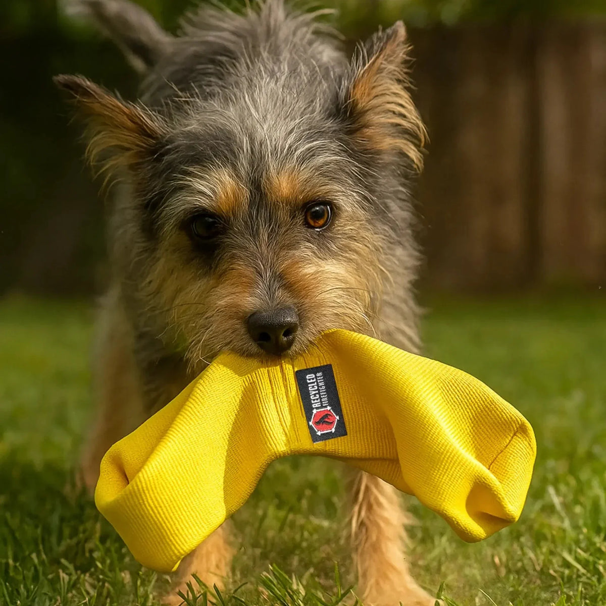 JR Tugs-A-Lot tug toy, yellow, second view
