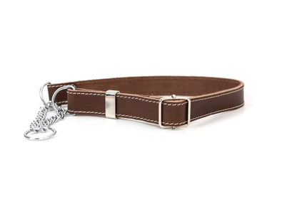 Chocolate martingale leather dog collar
