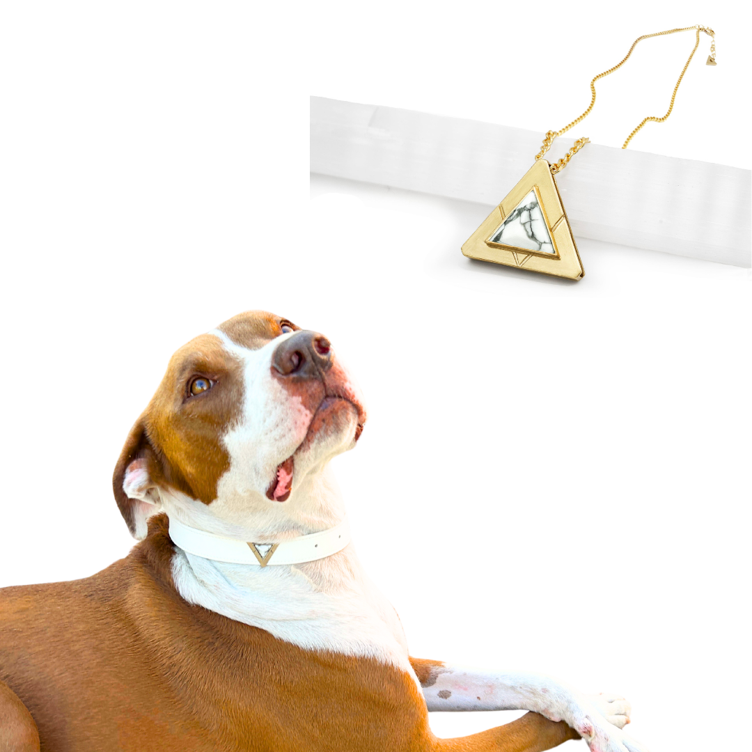 Starlight Howl matching set in gold finish