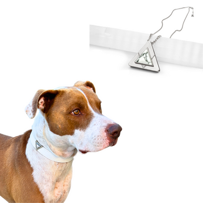 Starlight Howl matching set in silver finish