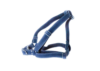 Navy leather step in dog harness