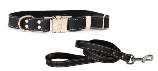 Quick-release leather collar and leash set