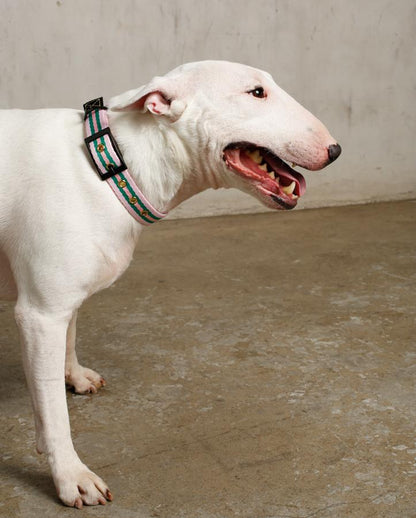 Le Classic dog collar, detail view