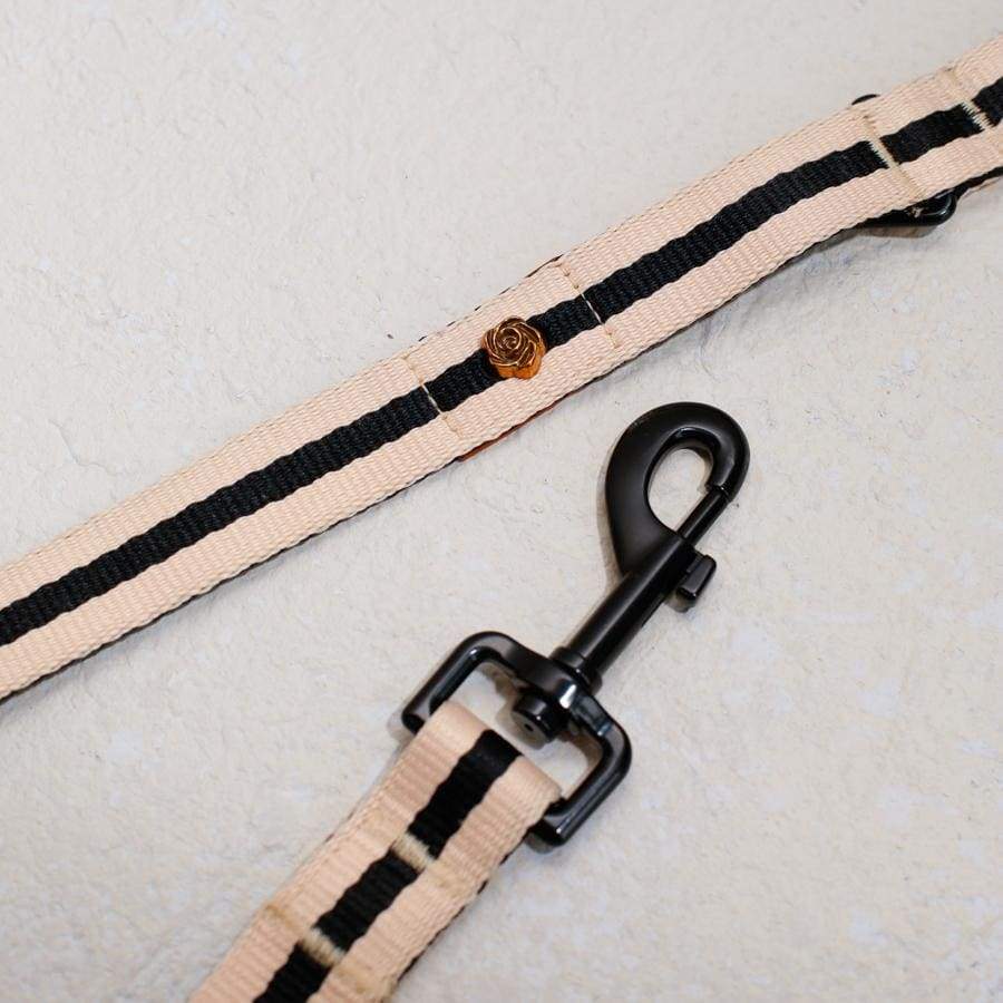 Le Classic dog leash, detail view