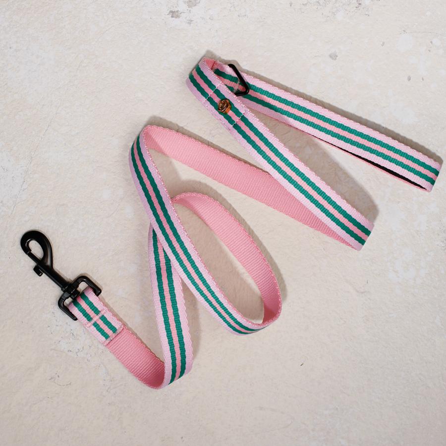 Le Classic dog leash in Rue La Rose